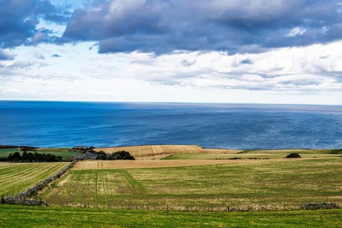 Scottish fields and farms, Southeast Scotland, UK
