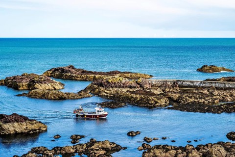 St Abbs, Eyemouth, Scottish Borders, UK