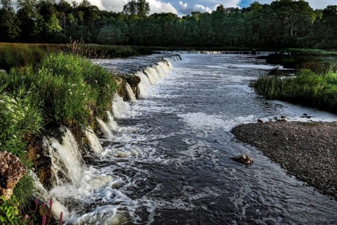 The Ventas Rumba waterfall near Kuldiga with foaming water and surrounding greenery, Kuldiga,