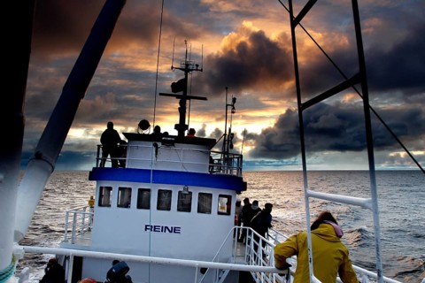 Boat on a sunset whale watching trip near Andenes, Andenes, Vesterålen, Norway