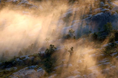 Picturesque sunrise light on a fog-shrouded plateau creating a mystical atmosphere, zero
