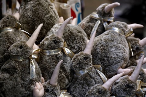 Collection of kiwi plush toys as souvenirs at West Coast Wildlife Centre, Franz Josef Glacier, New