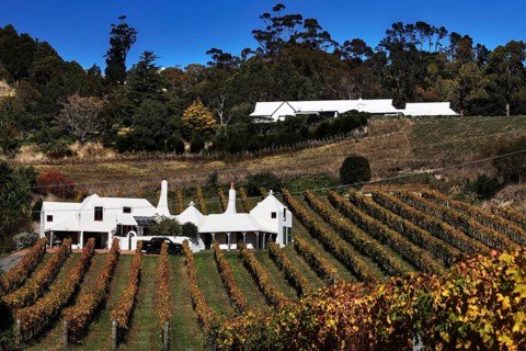 Picturesque Te Mata Estate winery with surrounding vines and countryside, Hawke's Bay, New Zealand