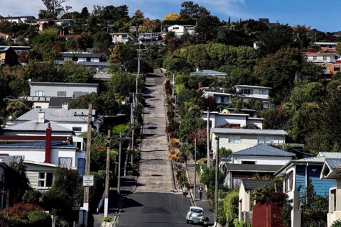 Long, steep residential street with lots of houses and vegetation in Dunedin, Dunedin, Otago, New