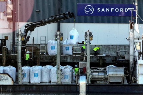 Industrial plant for processing green shell mussels in Havelock with workers at work, Havelock,