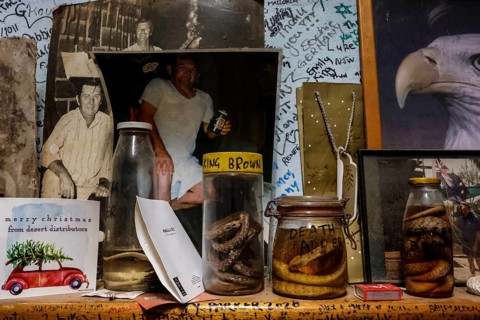 Glasses with preserved snakes and curious objects in a hotel on Stuart Highway, zero