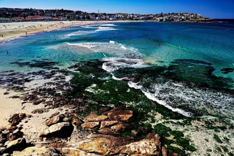 Clear blue water and waves on the picturesque Bondi Beach coast, Sydney, New South Wales, Australia