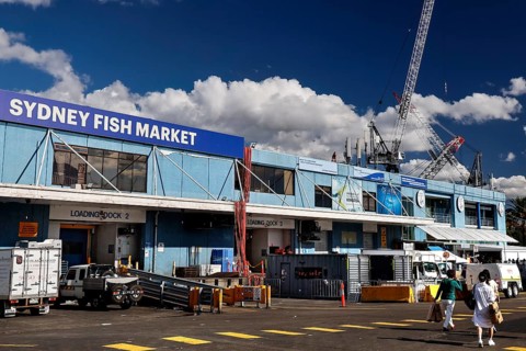 Exterior view of Sydney Fish Market with blue sky in background, Sydney, New South Wales, Australia