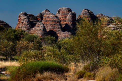 Colourful rocks and vegetation along the Cathedral Cove Trail in Purnululu National Park, Purnululu