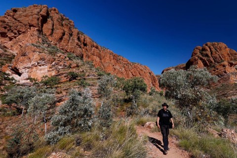 Man hiking on a trail in front of dramatic rocky landscape near Osmand Lookout, Purnululu National