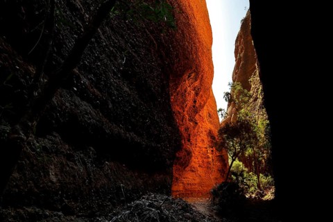 The impressive Echidna Chasm interspersed with plays of light and shadow, Purnululu, Western