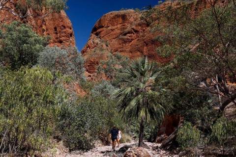 Impressive red rocks and vegetation on the Echidna Chasm Trail in Purnululu National Park,