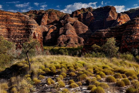 Dramatic rock formations surrounded by grass and bushes on the Piccaninny Lookout Trail, Purnululu