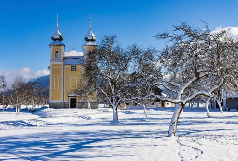 Snowy fruit trees with St. Lawrence Church in Sankt Lorenz bei Mondsee, Mondseeland, Salzkammergut,