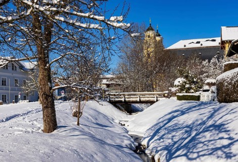 Snowy fruit trees with St. Michael Basilica, Mondsee, Mondseeland, Salzkammergut, Upper Austria,