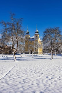 Snowy fruit trees with St. Lawrence Church in Sankt Lorenz bei Mondsee, Mondseeland, Salzkammergut,