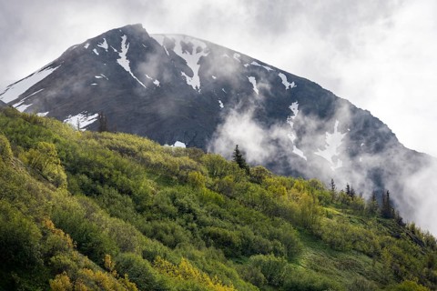 Fog sweeps around mountain peaks, Slaughter Ridge Trail, Cooper Landing, Kenai Peninsula, Alaska,