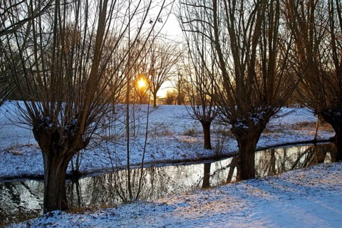 Sunrise over Lower Rhine landscape on the Aubruch Canal in winter, Moers, Wesel district, Lower