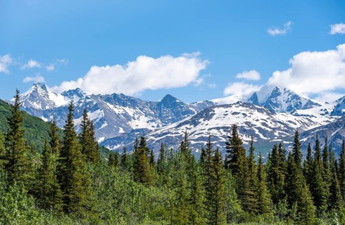 Mountain peak with snow and taiga, Alaska Range, Richardson Highway, Alaska, USA