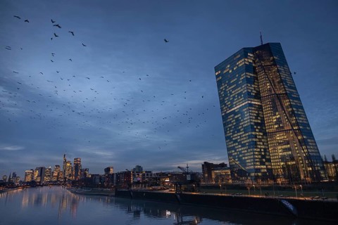 A flock of birds flies in the evening from the European Central Bank (ECB) towards the Frankfurt
