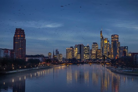 A flock of birds flies in the evening towards the glowing Frankfurt banking skyline, Osthafen,
