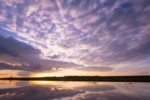 Evening sky is reflected in high water in Ochsenmoor am Dümmer, Ochsenmoor, Hüde, Lower Saxony,