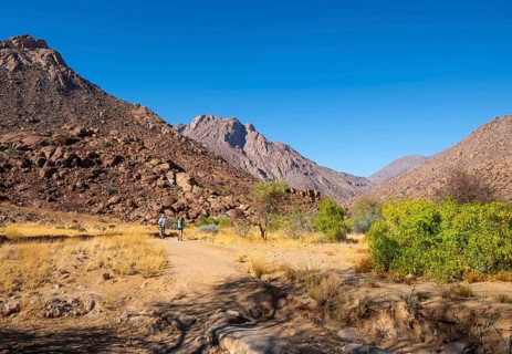 Hiking to White Lady, Dry Mountain Landscape, Tsisab Gorge, Brandberg, Erongo, Namibia