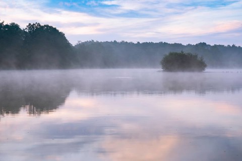 Daybreak with fog at blue hour in the Ahlhorner Fischteiche nature reserve of the Lower Saxony
