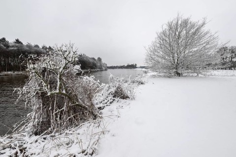 Winter landscape on the Ems, Emsland, Lower Saxony, Germany