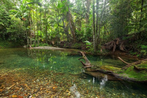 The Blue Hole, Cooper Creek, Daintree National Park, Queensland, Australia