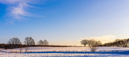 Winter landscape, fields and fields in Berlin Lübars, a village in Berlin Reinickendorf, Germany