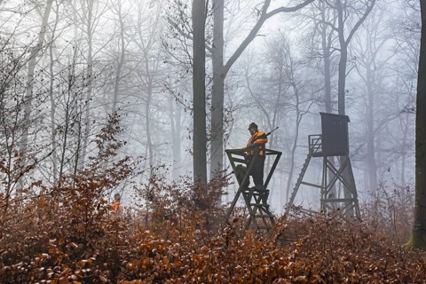 Driven hunting in Schönbuch. In autumn, hunters go hunting for wild boar and deer. Drivers in