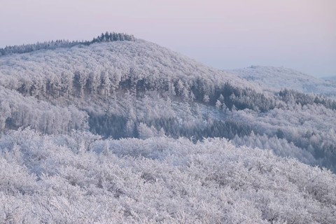 Snowy range of hills with frosty trees in the morning light, Hermannsweg an der Steinegge, Dissen