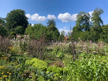 A path along the colorful cottage garden of the famous botanist and taxonomist Carl von Linne with
