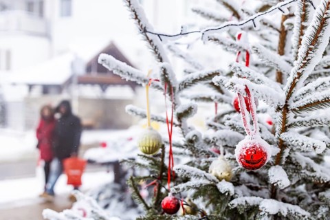 Christmas tree in the snow. The decorative glass balls are covered with hoarfrost. Westerheim,