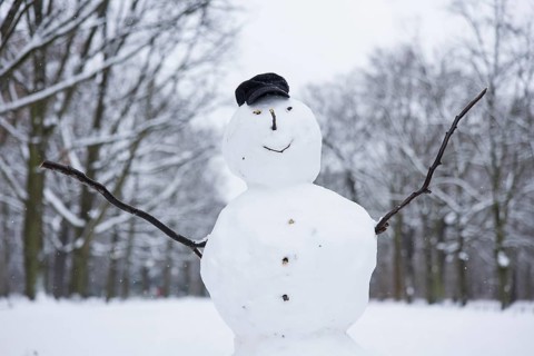 Snowfall, impressions from the Tiergarten, Berlin, 03.01.2026