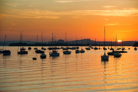 Sailboats, sunset, Allensbach, Untersee, Lake Constance, Baden-Württemberg, Germany