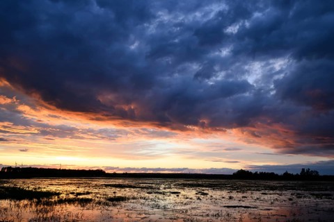Dramatic sunset over flooded wetlands with wind turbines in the background and bright shades of