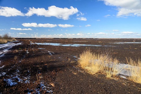 Peated hoochmoor black peat in cloudy skies with earthy colors and natural texture, Diepholzer