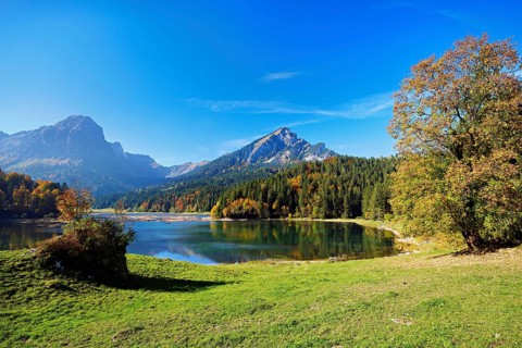 Autumn-colored forest is reflected in Obersee, Näfels, Canton of Glarus, Switzerland