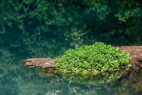 The Rhume Spring with blue-green colouration, source of River Rhume, large karst spring, Harz
