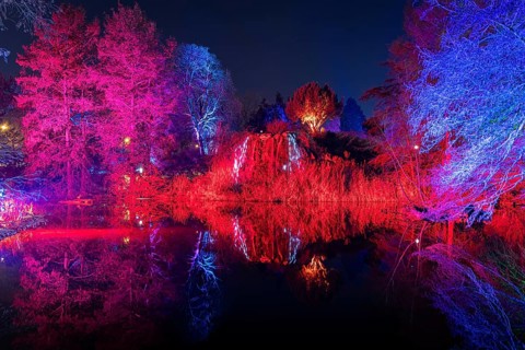From November 29, 2025 to January 11, 2026, the palm garden and its partner World of Lights