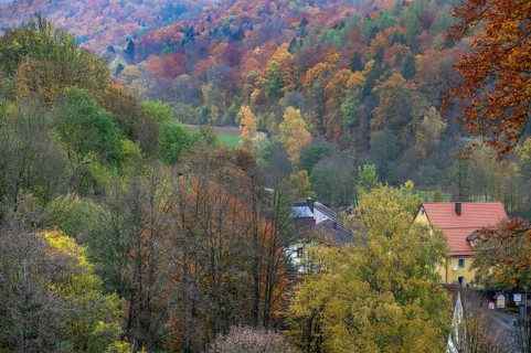 Mixed autumn forest, Franconian Switzerland, Egloffstein, Upper Franconia, Bavaria, Germany