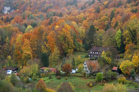 Herbstlicher Mischwald, Egloffstein, Upper Franconia, Bavaria, Germany