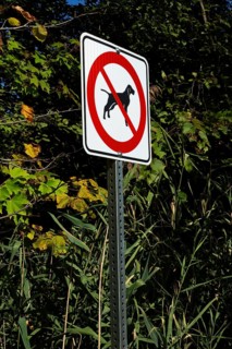 Posted white, red and black pictogram sign warning that dogs are not allowed or forbidden in public