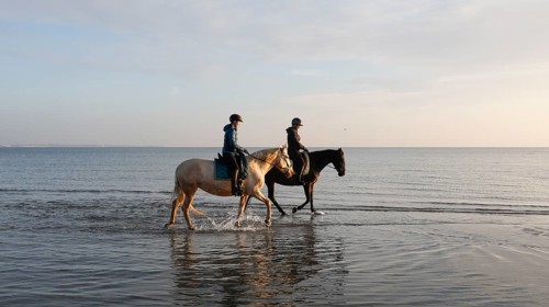 Two female riders ride their horses through the shallow water of the Baltic Sea at sunrise,