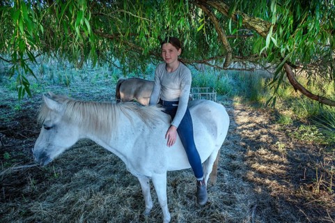 Young girl sitting on her white mare under a willow (Salix), Othenstorf, Mecklenburg-Western