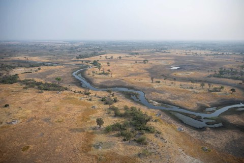 Wetland, landscape, aerial view of the Okavango Delta, near Maun, Okavango Delta, Botswana