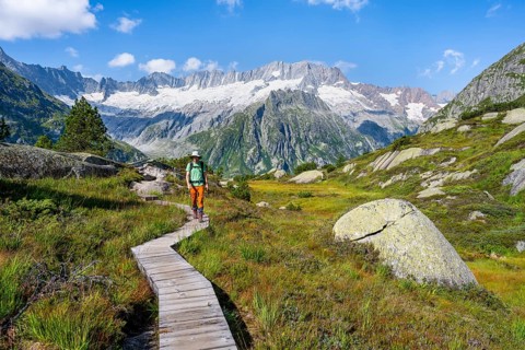 Mountaineers on wooden plank trail through mountain moor, in front of picturesque mountain scenery,