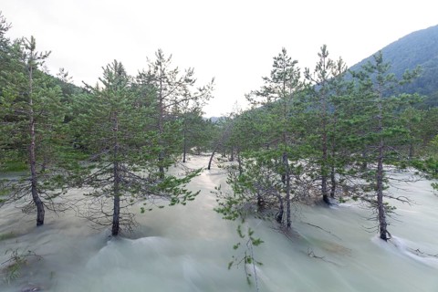 The Isar carries floods between Lake Sylvenstein and Lenggries. Trees and pines sink in the